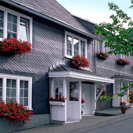 Panoramaferienwohnung Bergwiese マッサーベルク エクステリア 写真