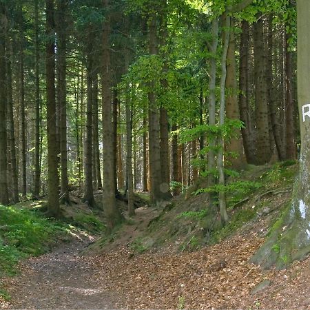 Panoramaferienwohnung Bergwiese マッサーベルク エクステリア 写真