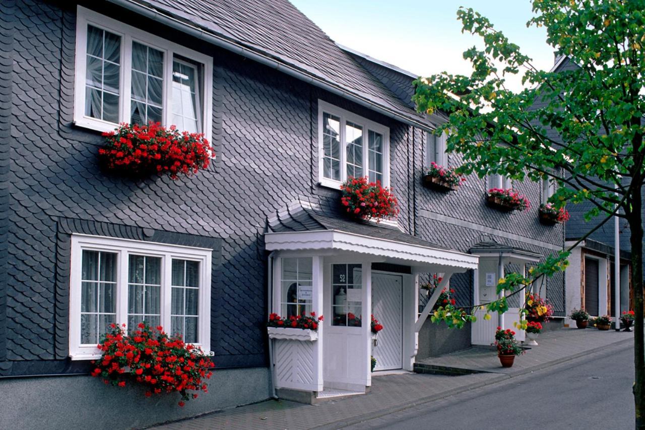 Panoramaferienwohnung Bergwiese マッサーベルク エクステリア 写真