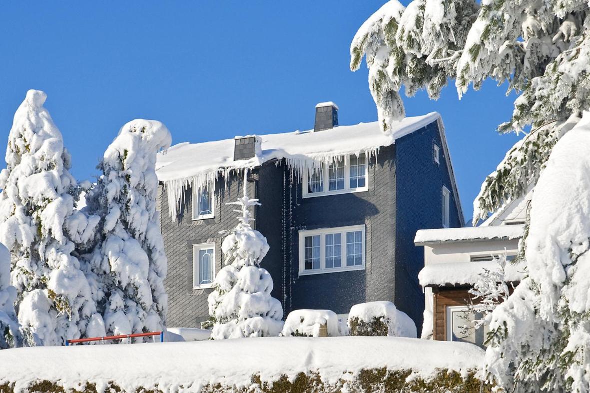 Panoramaferienwohnung Bergwiese マッサーベルク エクステリア 写真