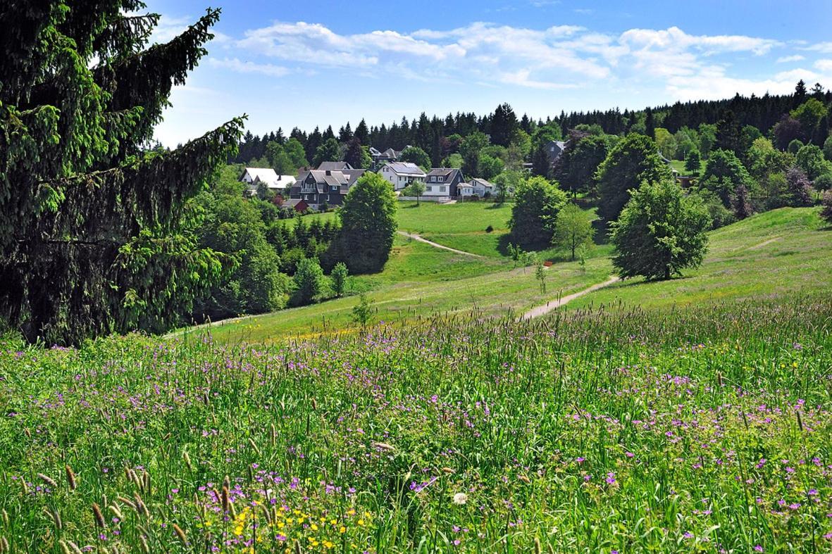 Panoramaferienwohnung Bergwiese マッサーベルク エクステリア 写真