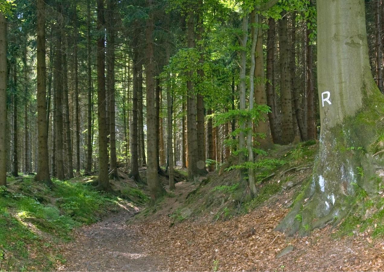 Panoramaferienwohnung Bergwiese マッサーベルク エクステリア 写真