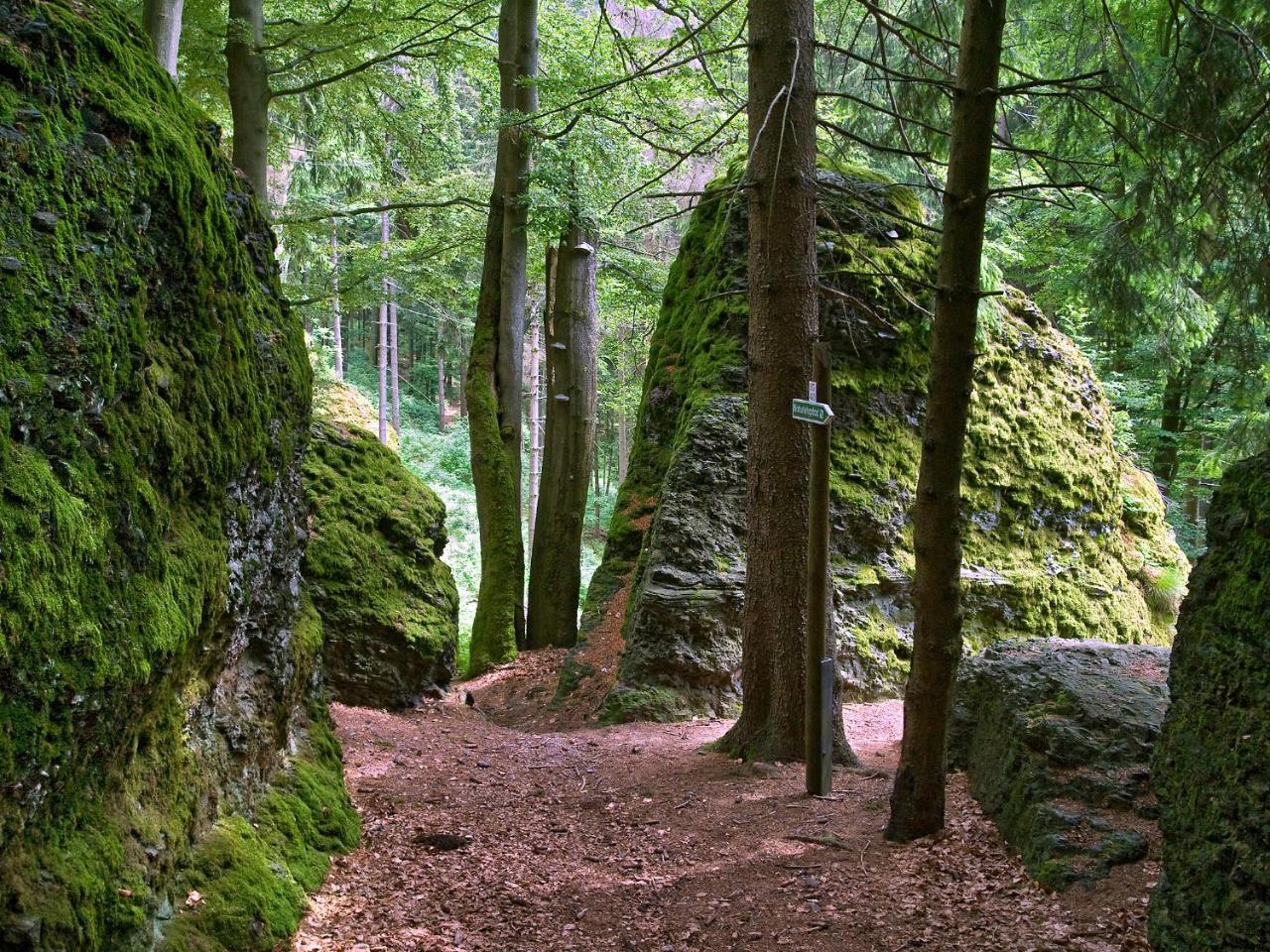 Panoramaferienwohnung Bergwiese マッサーベルク エクステリア 写真