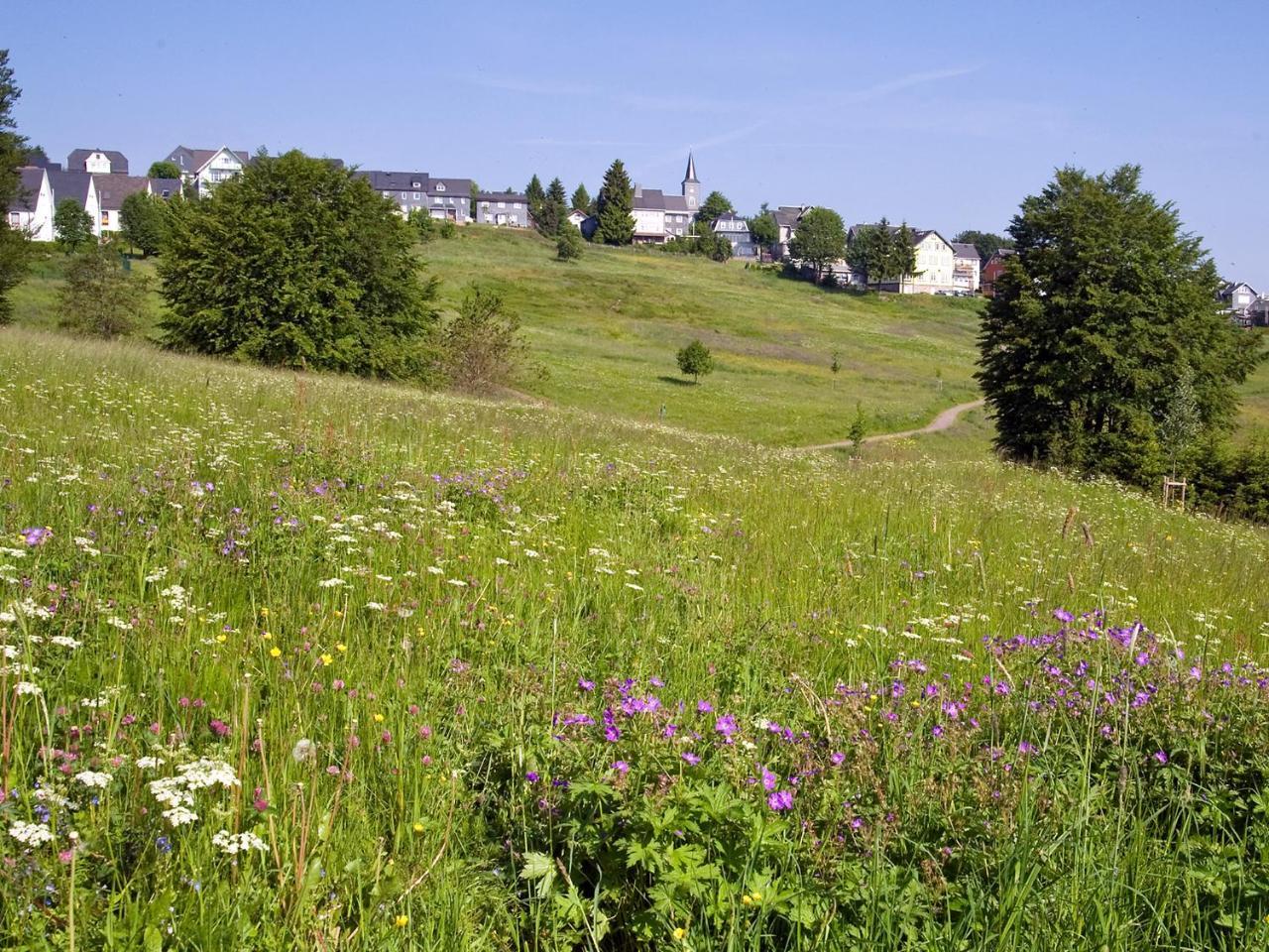 Panoramaferienwohnung Bergwiese マッサーベルク エクステリア 写真