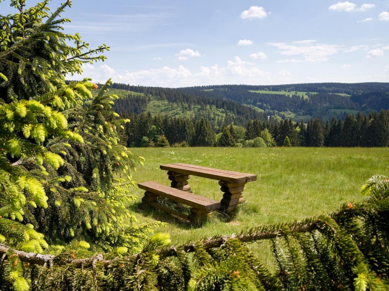 Panoramaferienwohnung Bergwiese マッサーベルク エクステリア 写真