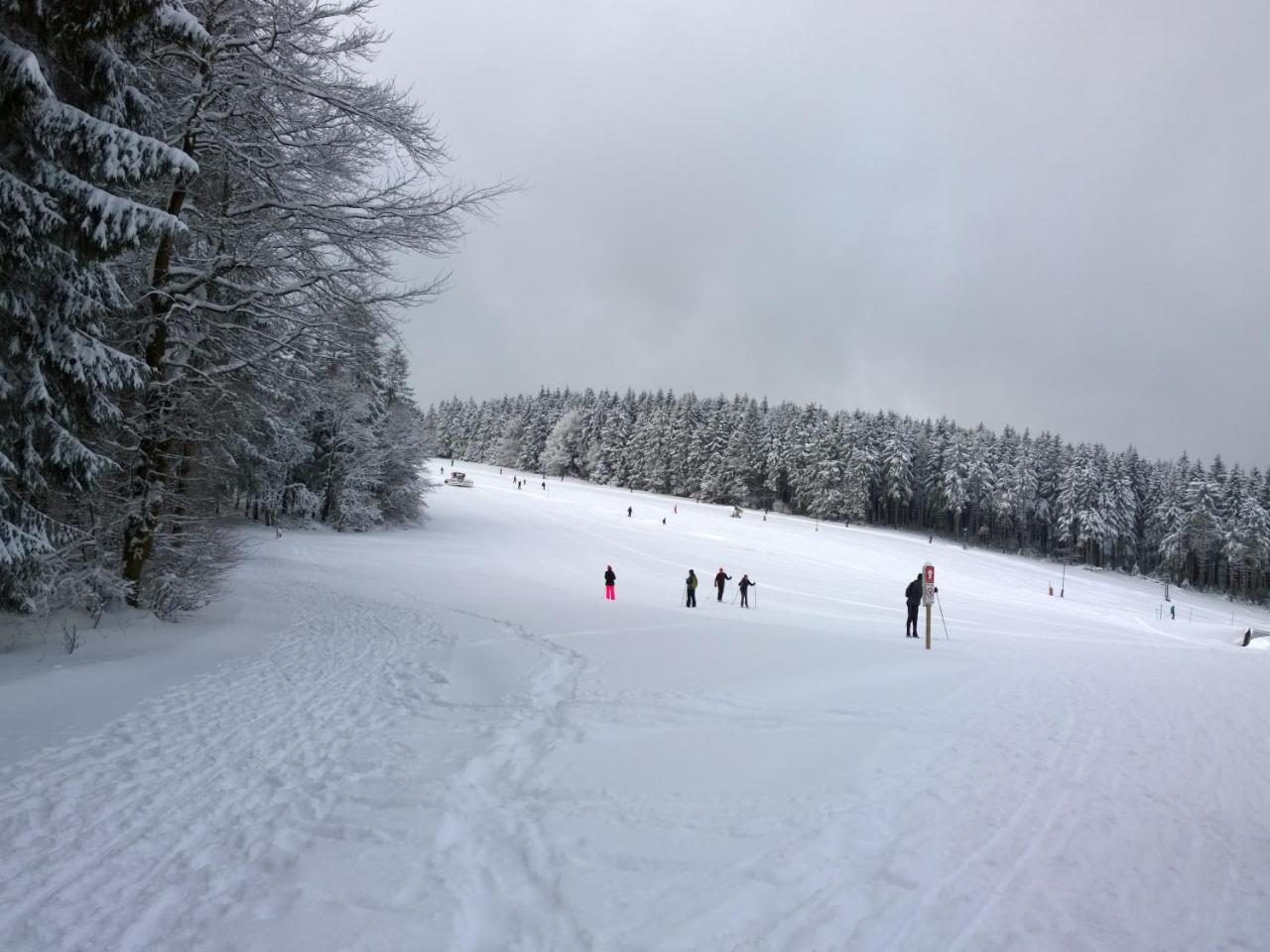Panoramaferienwohnung Bergwiese マッサーベルク エクステリア 写真